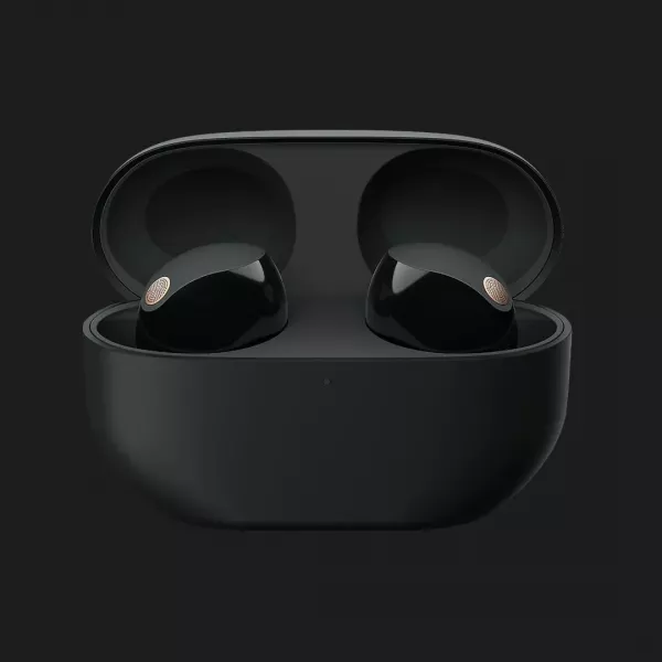 Навушники Sony WF-1000XM5 Wireless Noise Cancelling Headphones (Black)